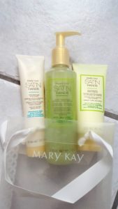 mary kay satin hands pampering kit