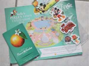 fun things to do at disney world