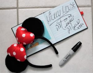fun things to do at disney world