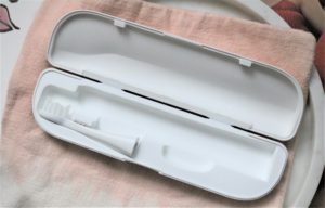 bruush carrying case
